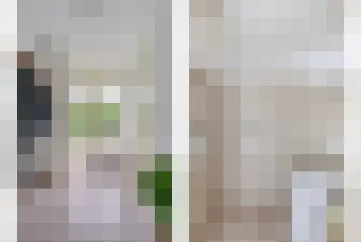 Ried 19 Leeuwarden thumbnail 16