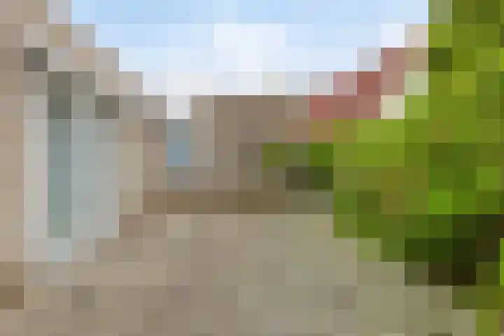 Ried 19 Leeuwarden thumbnail 24