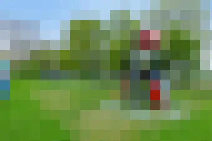 Ried 19 Leeuwarden thumbnail 30