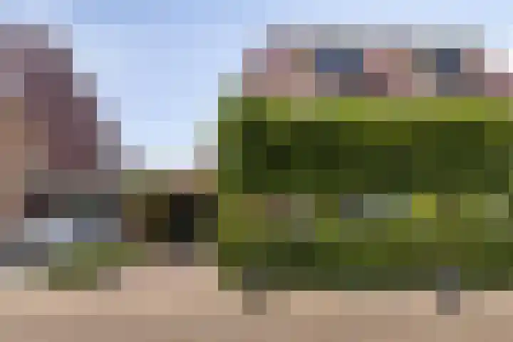 Riederhof 19 Barendrecht thumbnail 28