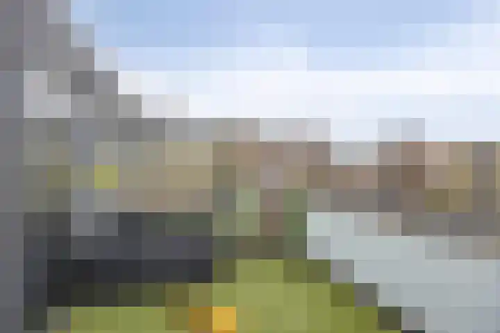 Riederlaan 61 A Rotterdam thumbnail 22