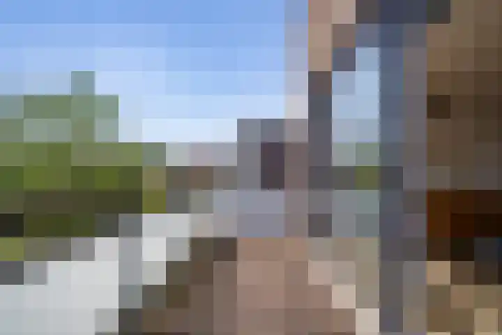 Riederveld 2 Barendrecht thumbnail 15