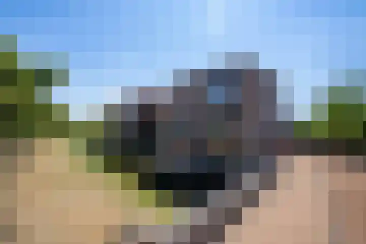 Riederveld 2 Barendrecht thumbnail 30