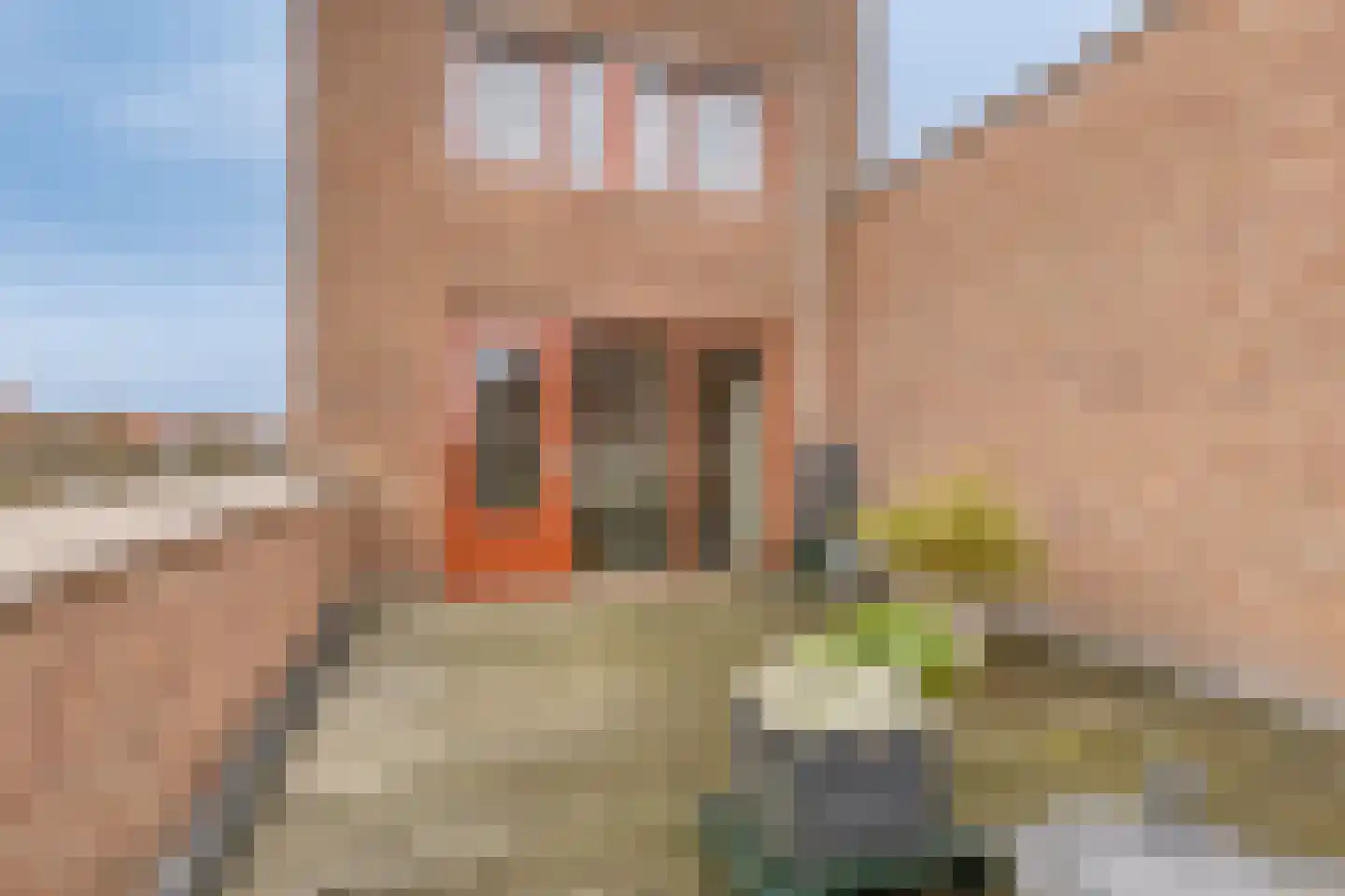 Riederwerf 1 Barendrecht thumbnail 26