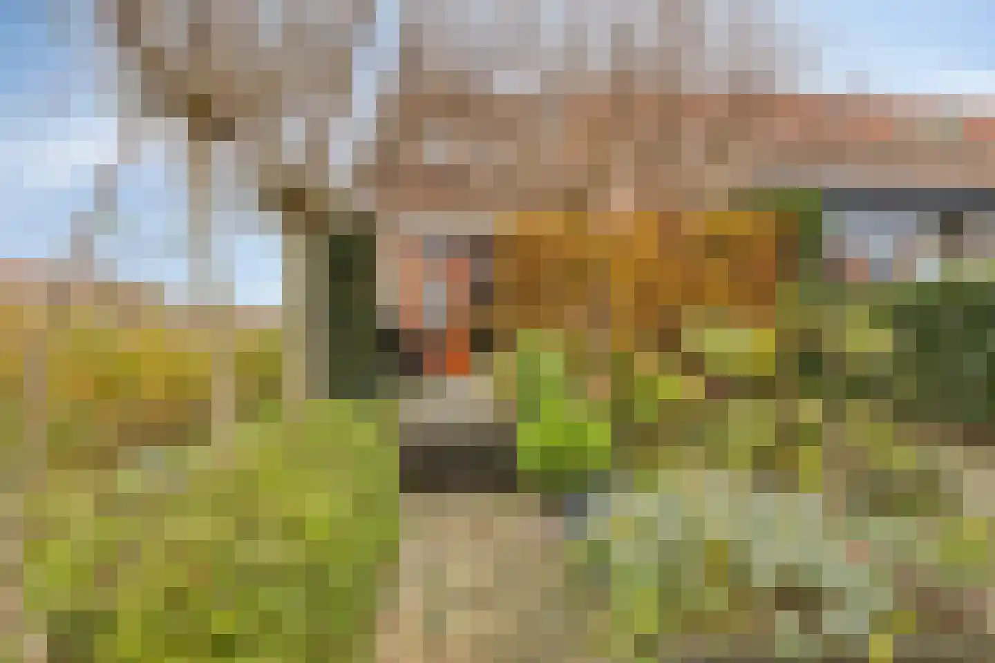 Riederwerf 1 Barendrecht thumbnail 34