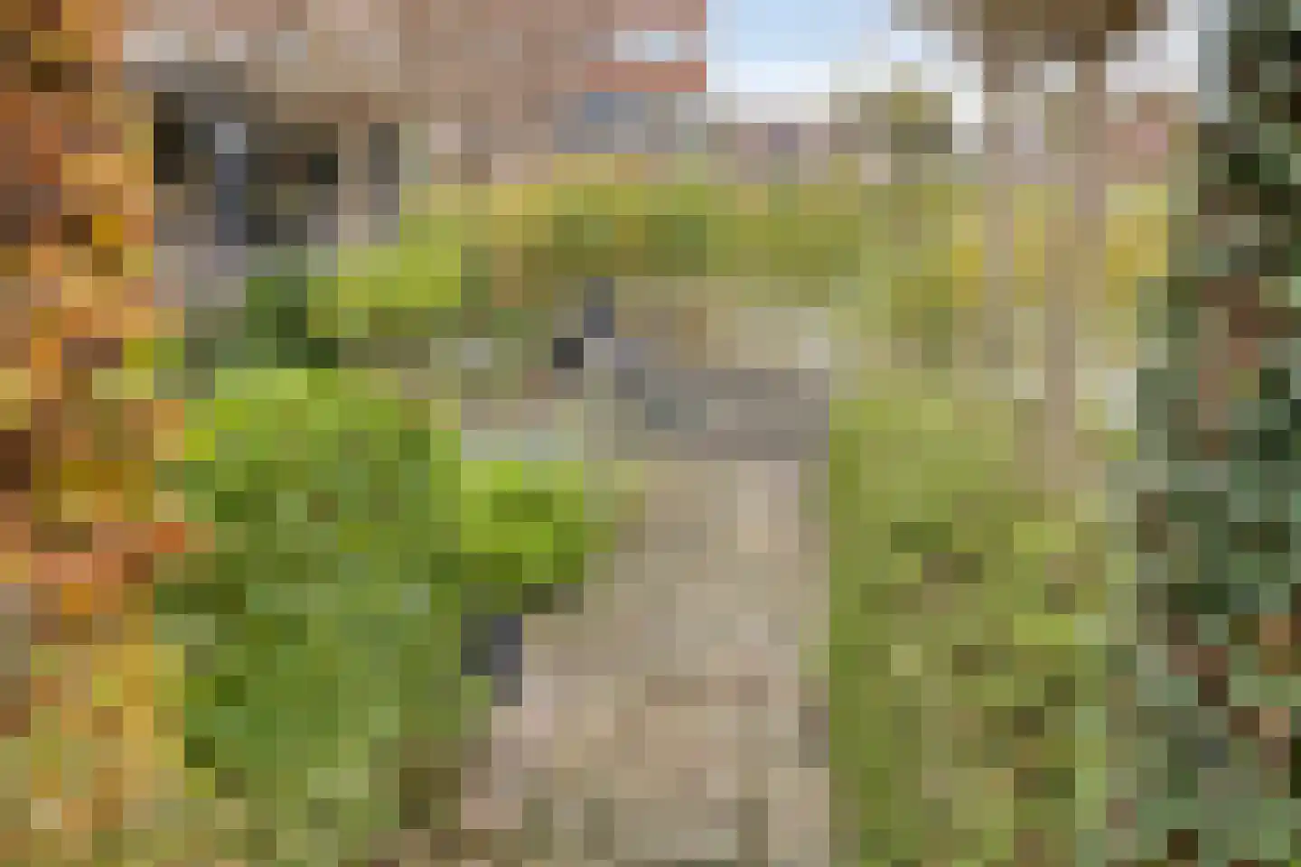Riederwerf 1 Barendrecht thumbnail 35