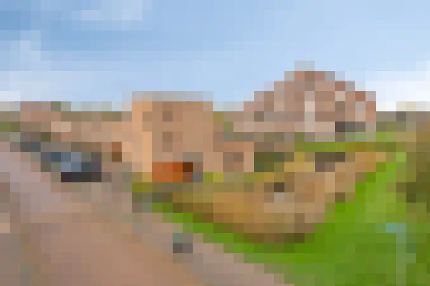 Riederwerf 1 Barendrecht thumbnail 41