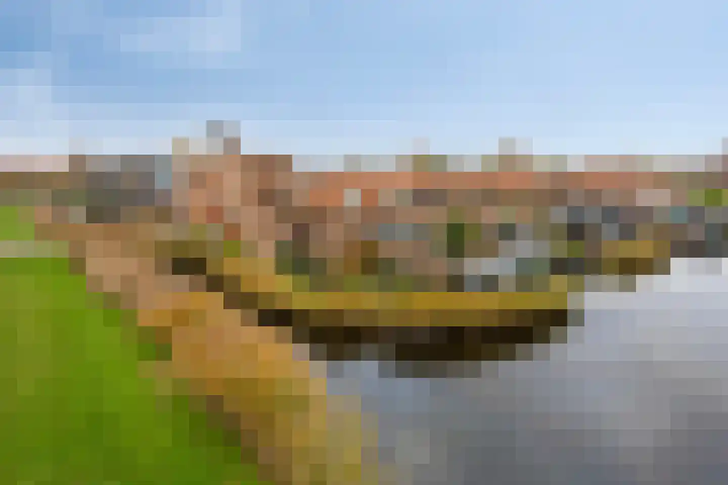Riederwerf 1 Barendrecht thumbnail 44