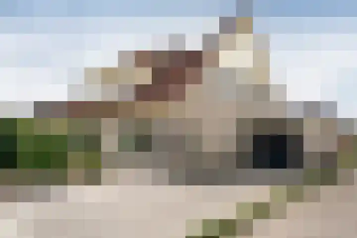 Rief 3 Erica