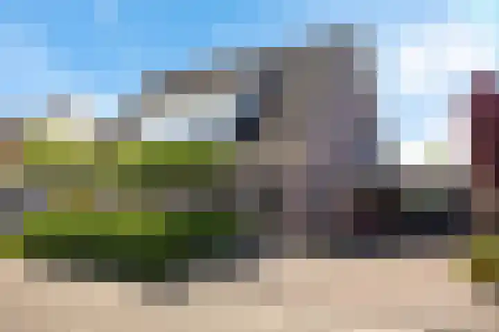 Rief 7 Erica