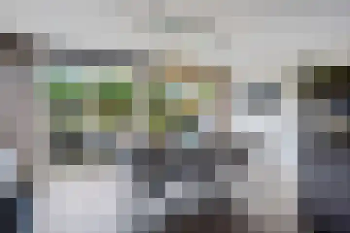 Rief 7 Erica thumbnail 10