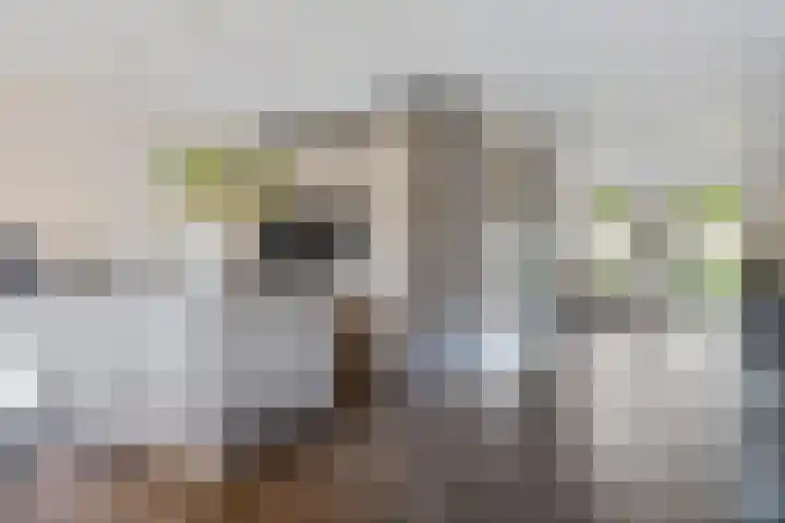 Rief 7 Erica thumbnail 11