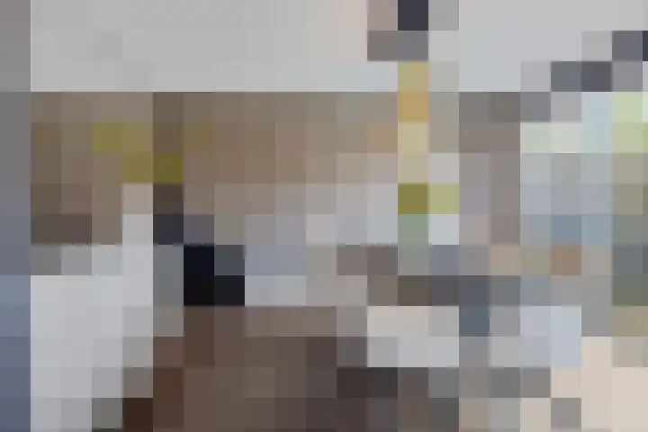Rief 7 Erica thumbnail 16