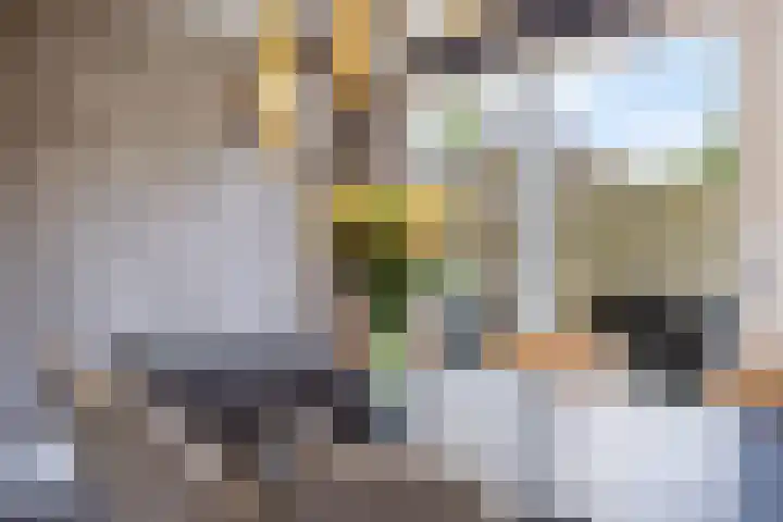 Rief 7 Erica thumbnail 17