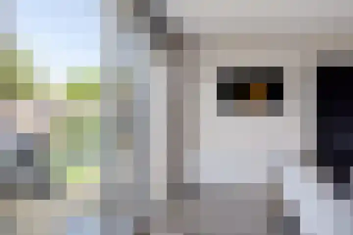 Rief 7 Erica thumbnail 18