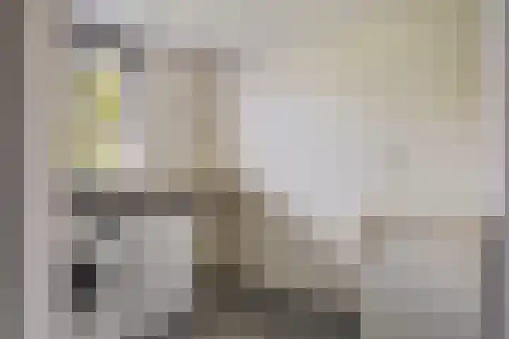 Rief 7 Erica thumbnail 19