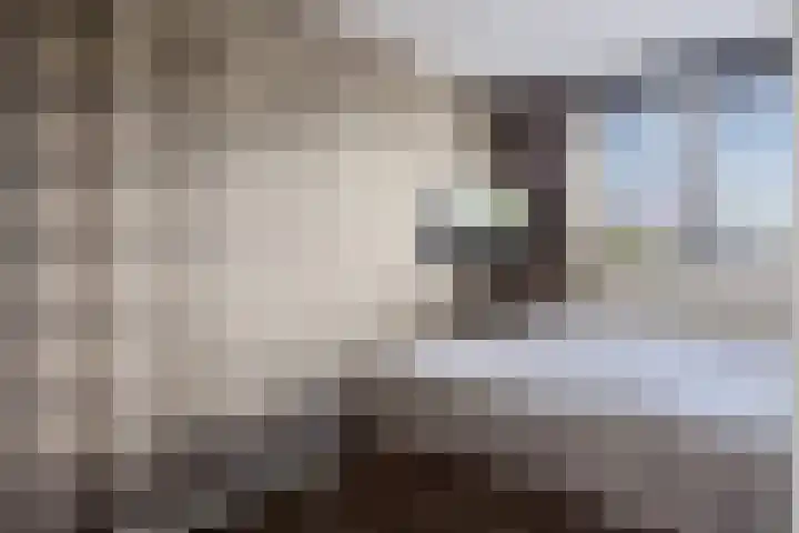 Rief 7 Erica thumbnail 24