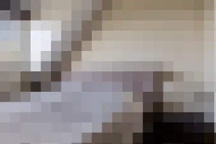 Rief 7 Erica thumbnail 25