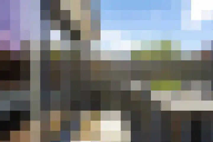Rief 7 Erica thumbnail 38