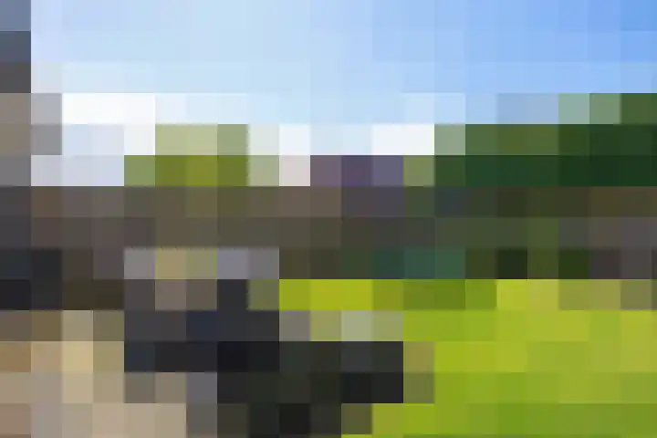 Rief 7 Erica thumbnail 39