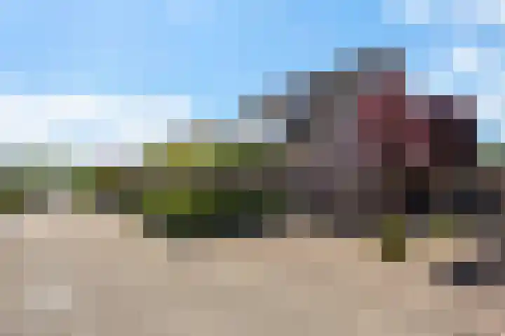 Rief 7 Erica thumbnail 44