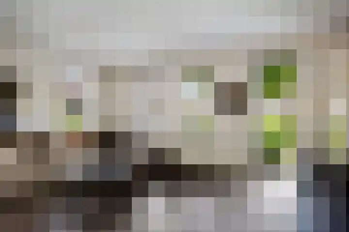 Rief 7 Erica thumbnail 5