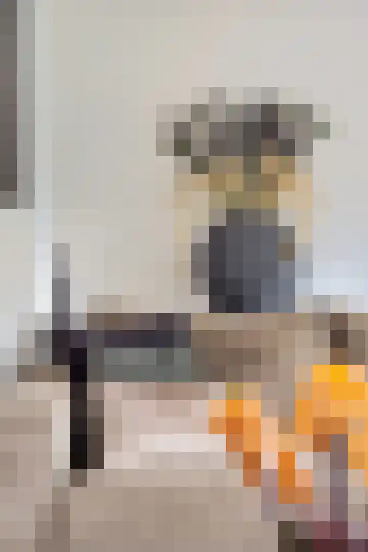 Rief 7 Erica thumbnail 6