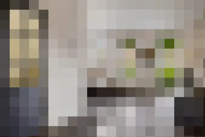 Rief 7 Erica thumbnail 7