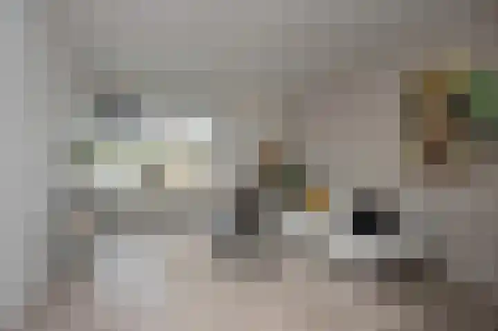 Riegheide 28 Rolde thumbnail 11
