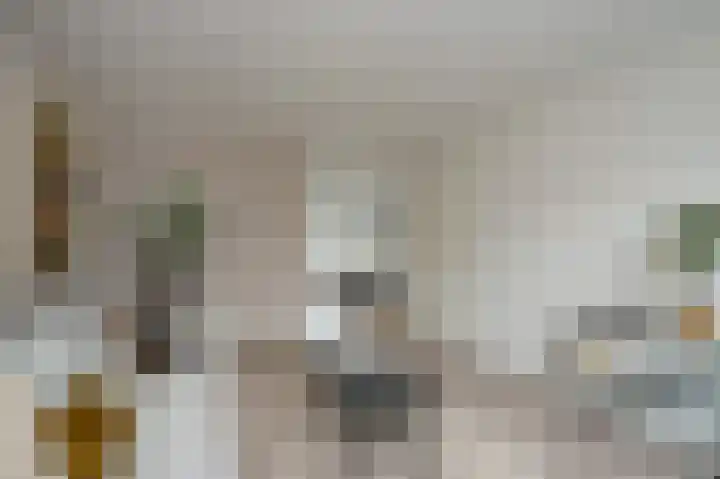Riegheide 28 Rolde thumbnail 12