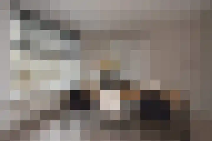 Riegheide 28 Rolde thumbnail 15