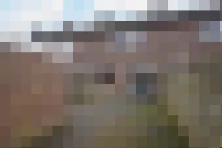 Riegheide 28 Rolde thumbnail 39