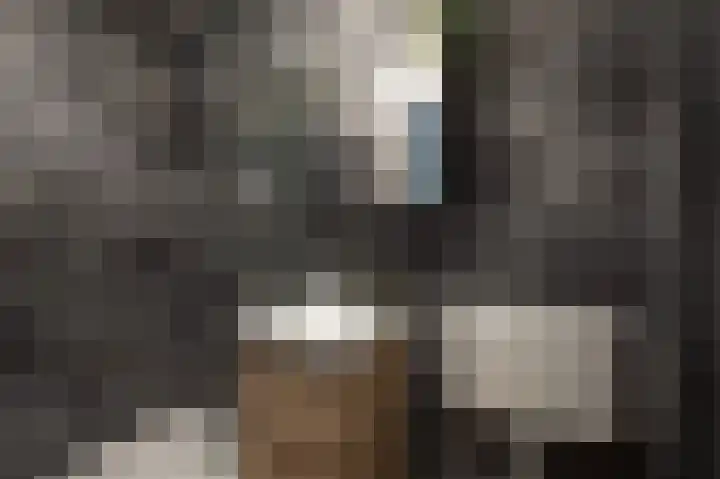 Riegheide 28 Rolde thumbnail 4