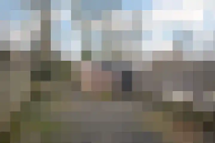 Riegheide 28 Rolde thumbnail 40