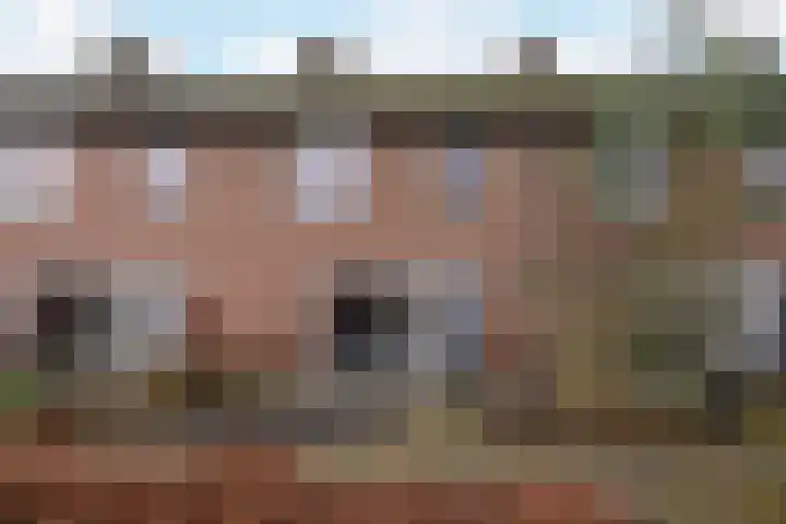 Riegheide 28 Rolde thumbnail 6