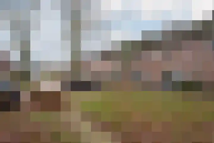 Riegheide 28 Rolde thumbnail 7