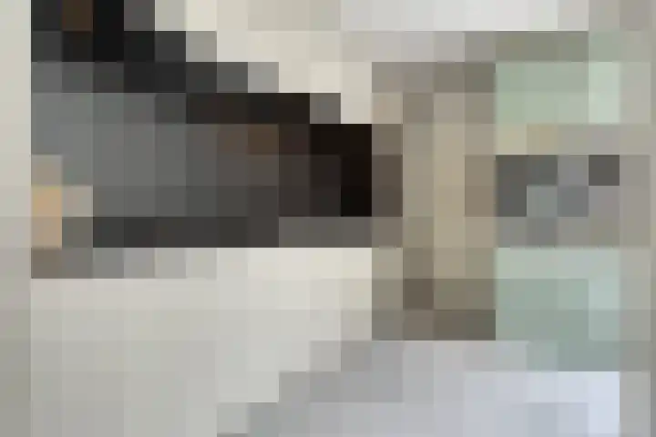 Rielsedijk 55 Eindhoven thumbnail 12