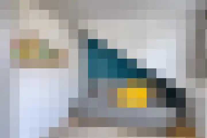 Rielsedijk 55 Eindhoven thumbnail 19