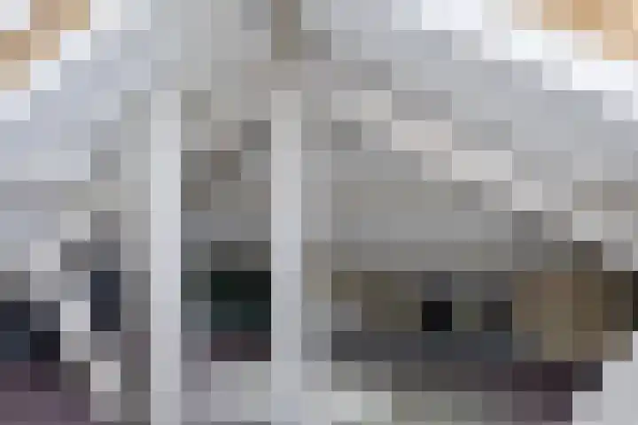 Rielsedijk 55 Eindhoven thumbnail 33