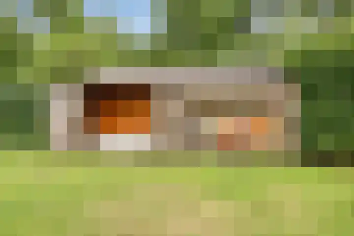 Rielsedijk 55 Eindhoven thumbnail 38
