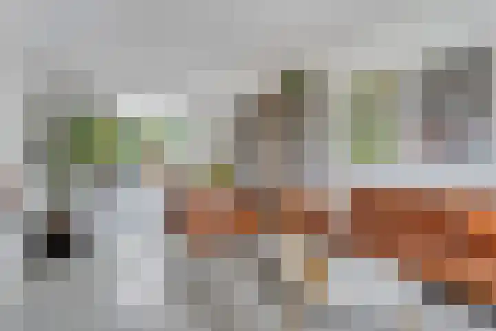 Rielsedijk 55 Eindhoven thumbnail 4