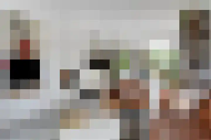 Rielsedijk 55 Eindhoven thumbnail 5