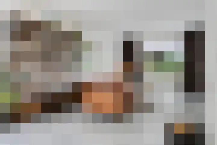 Rielsedijk 55 Eindhoven thumbnail 6