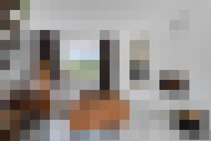 Rielsedijk 55 Eindhoven thumbnail 7