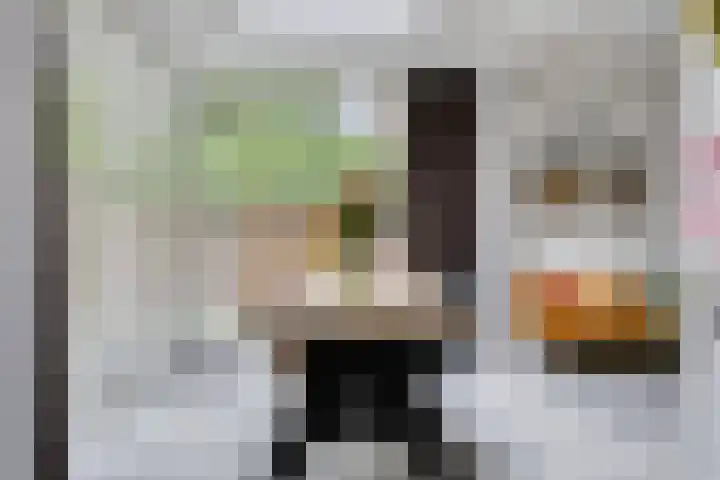 Rielsedijk 55 Eindhoven thumbnail 9