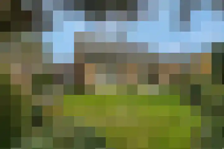 Rienderstein 11 Ede thumbnail 45