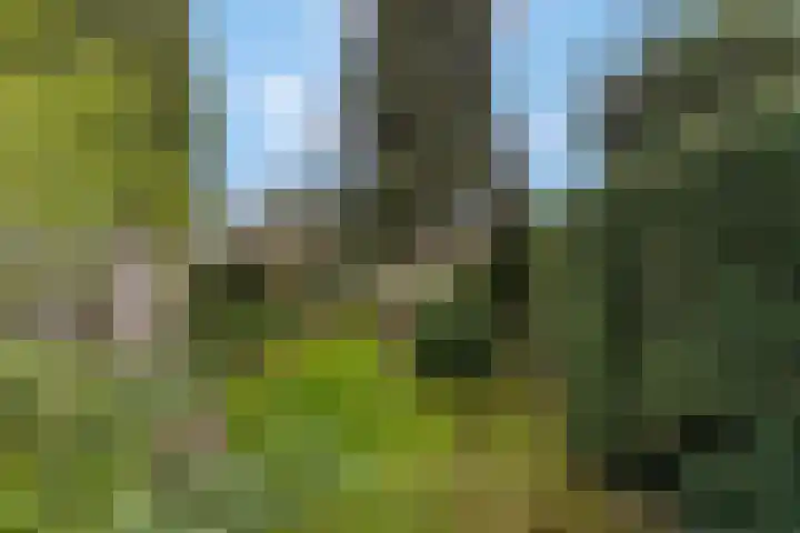 Rienderstein 11 Ede thumbnail 47