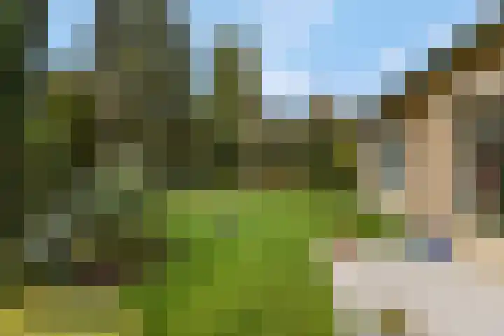 Rienderstein 11 Ede thumbnail 49