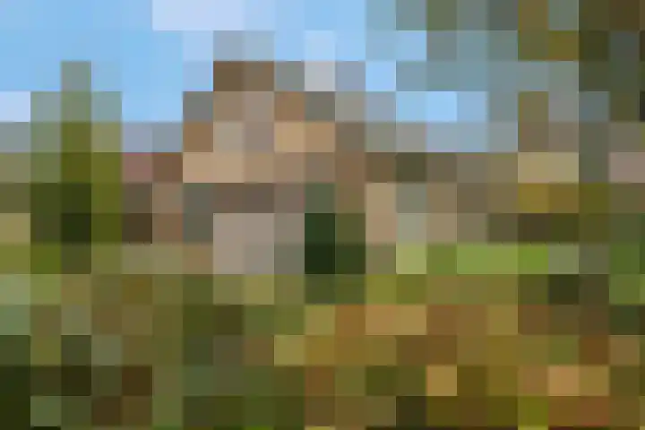 Rienderstein 11 Ede thumbnail 5