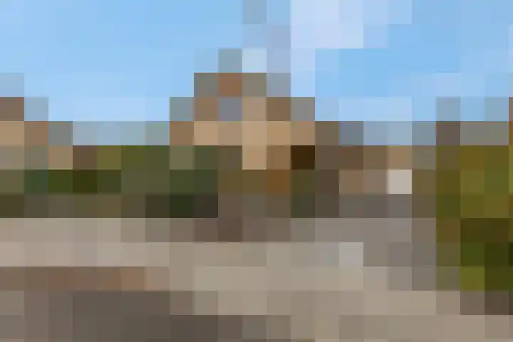 Rienderstein 11 Ede thumbnail 8
